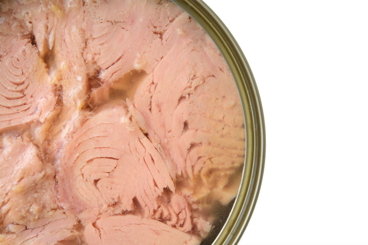 Cómo preparar el bonito del norte en conserva paso a paso