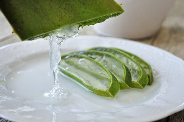 Cómo sacar la pulpa de una hoja de aloe vera