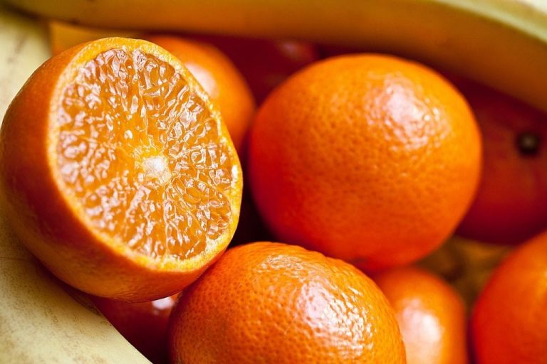 Dieta de la naranja: así puedes deshacerte de un montón de kilos en muy poco tiempo