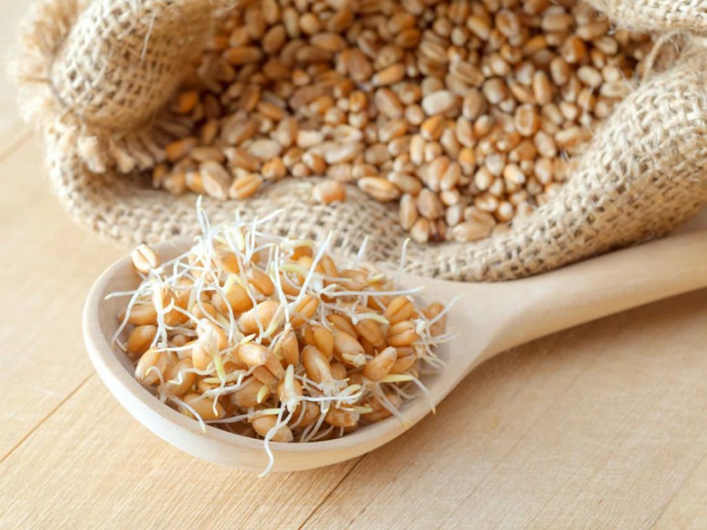 Dieta de la vitamina D: así puedes perder grasa y ganar salud en menos de dos semanas 107 El germen de trigo lo puedes hacer en tus comidas (y son muy versátiles)