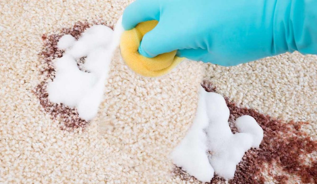 Cómo limpiar una alfombra 3 Eliminar manchas de la alfombra