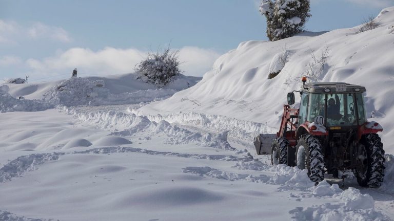 'Filomena' deja casi dos millones de pérdidas en el campo madrileño