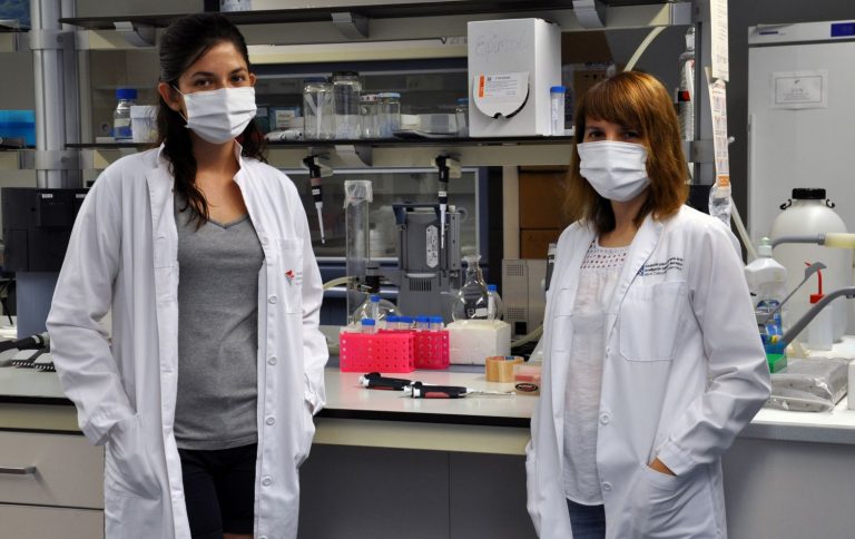 Desarrollan un modelo matemático que predice la respuesta al tratamiento de artritis