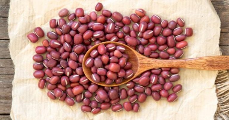 El barato y poderoso superalimento que Harvard quiere que incluyas en tu dieta