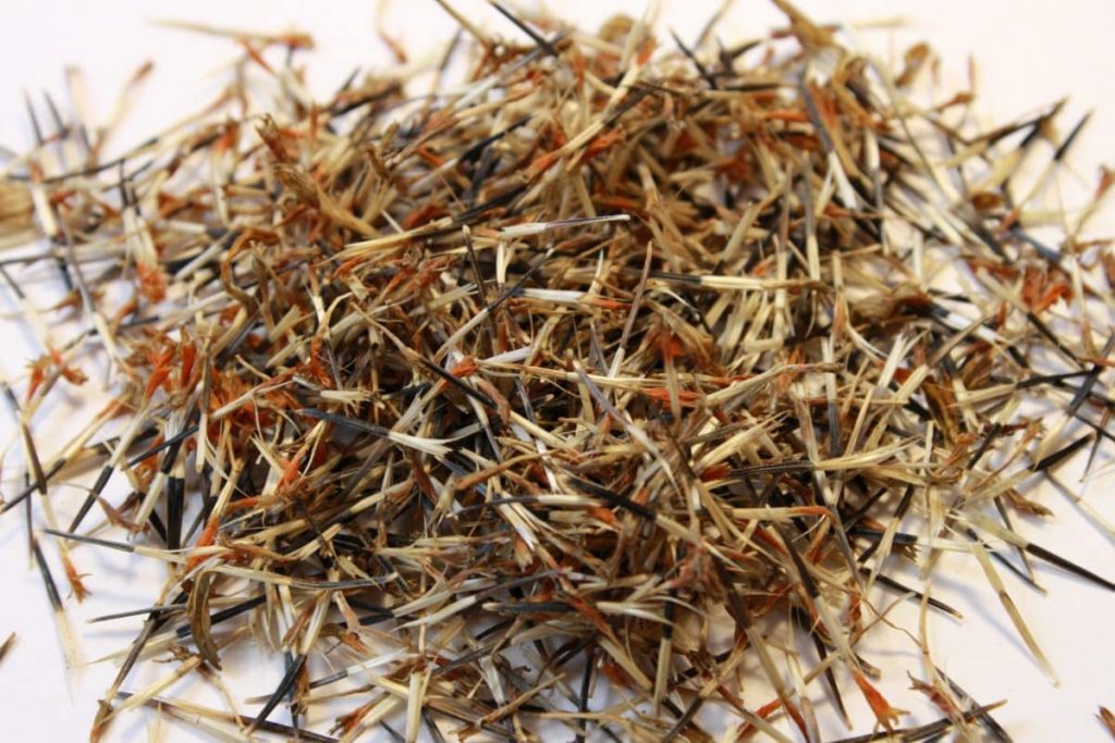 Bolsas de té: los otros usos que puedes dar y no tienes ni idea