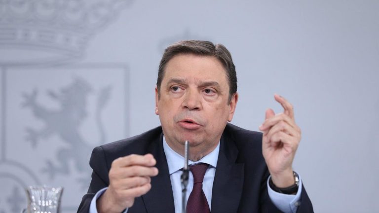 Planas: El decreto de transición es 