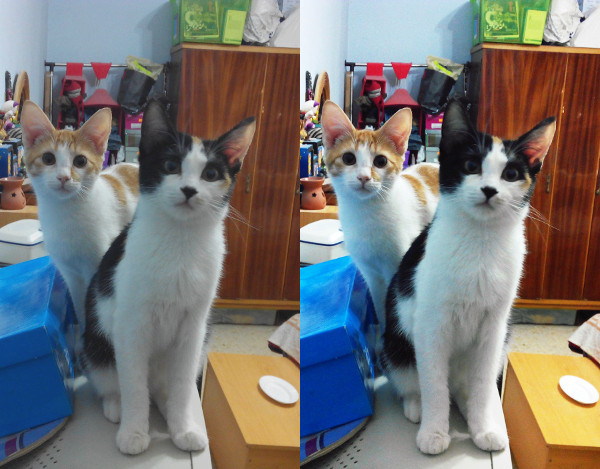 Mejorar la calidad de una foto 