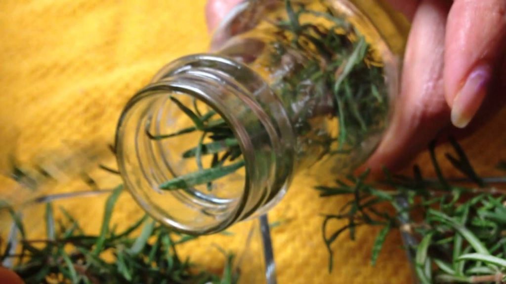 Preparar aceite de romero