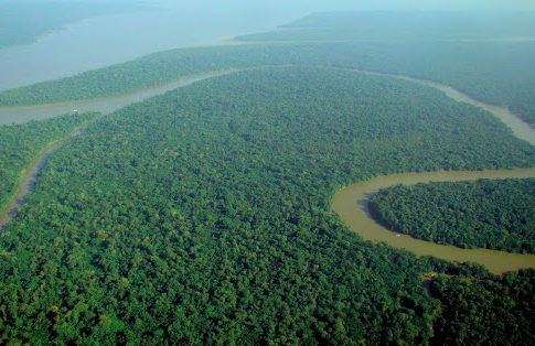 Qué es el Amazonas 1 Qué es el Amazonas