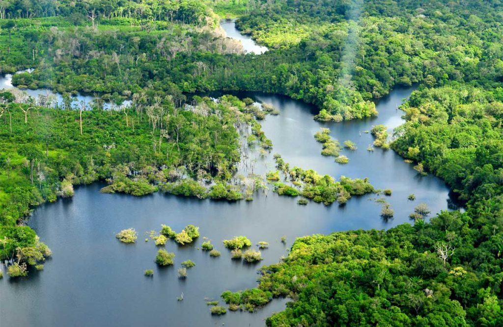 Qué es el Amazonas 1 Ecosistema del Amazonas