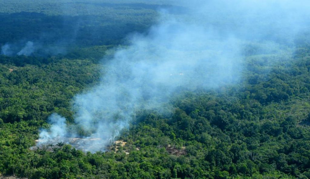 Qué es el Amazonas 6 Amenazas