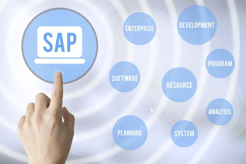 Qué es el SAP 1 ¿Qué es el SAP?