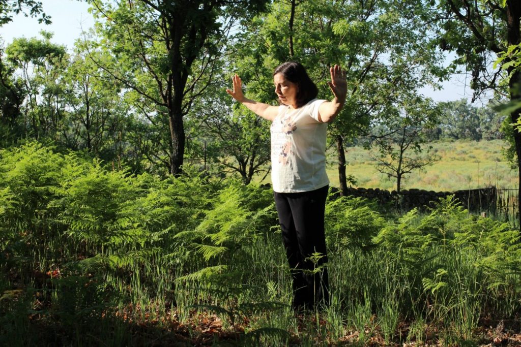 Qué es el chi 10 El chi en el ámbito espiritual y mental