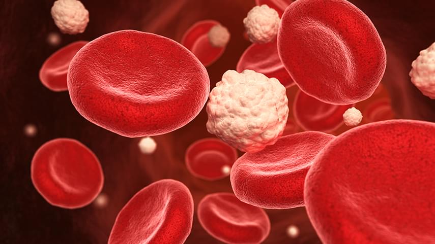 Almacenamiento del glucógeno