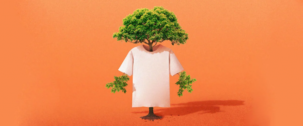 Qué es el greenwashing 6 ¿Cómo evitar promover el greenwashing?