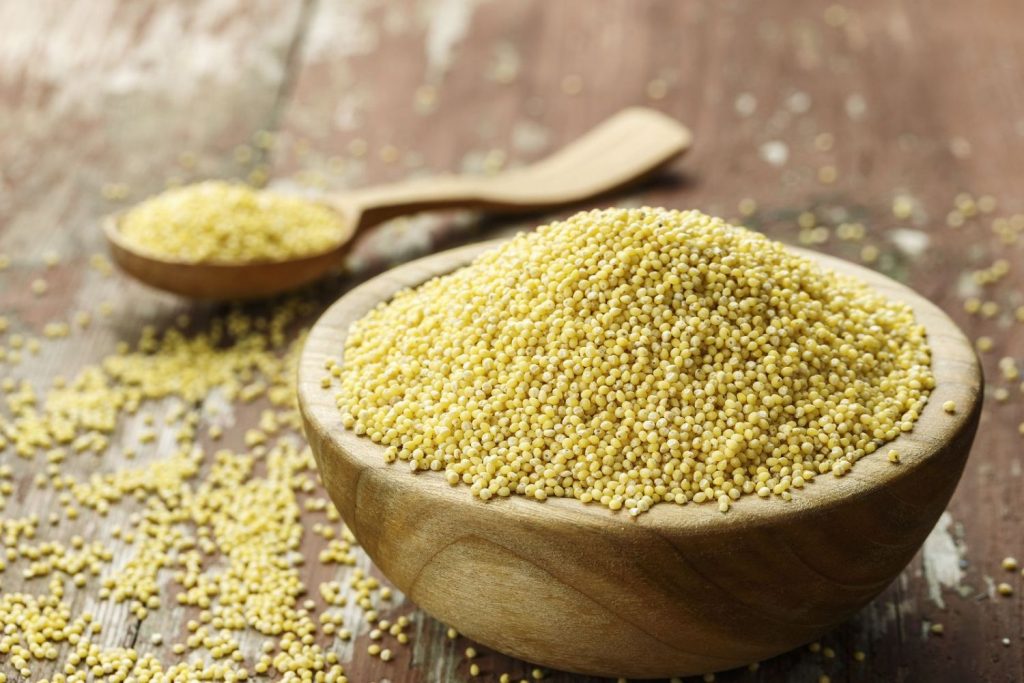 Cómo cocinar el mijo