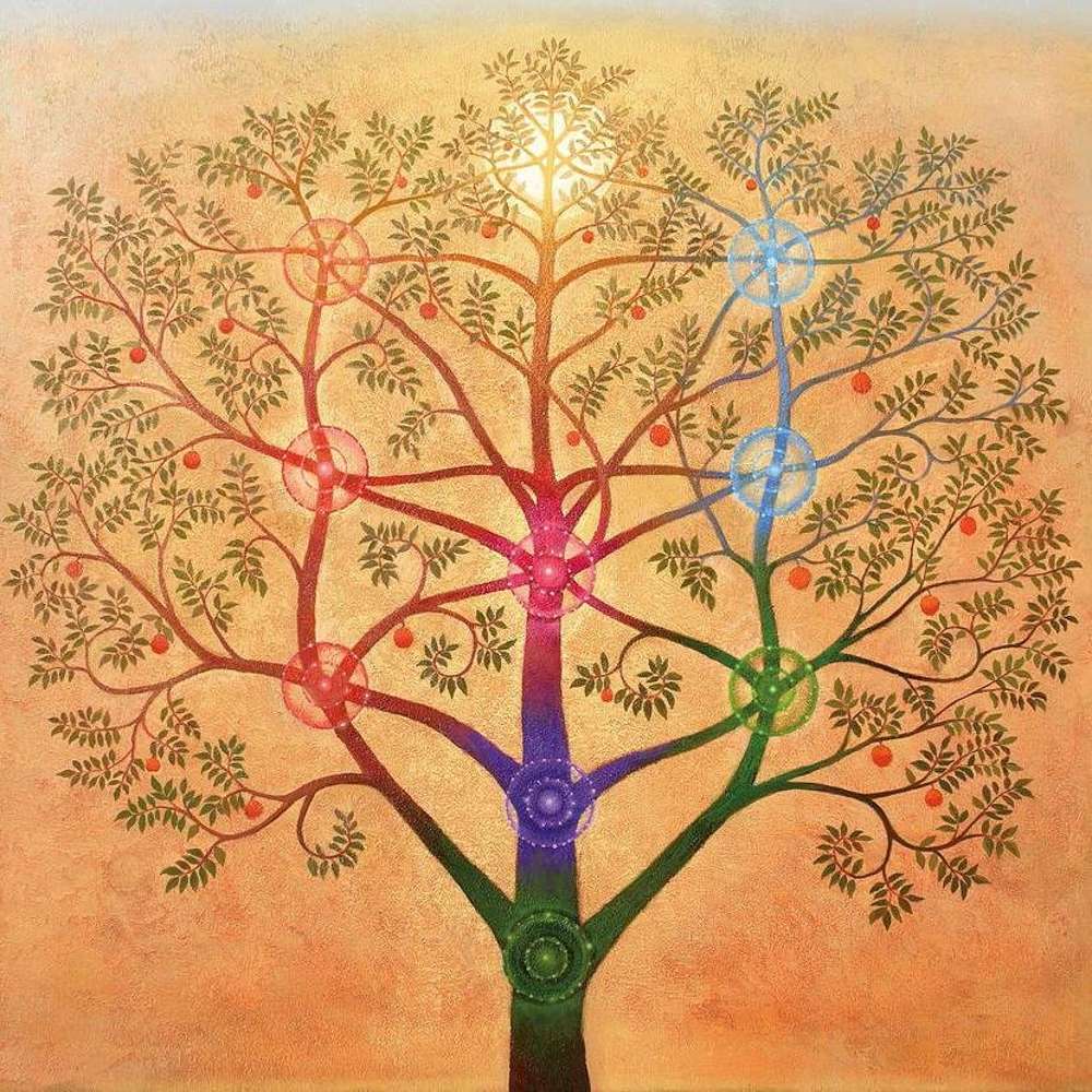 ¿Qué hace falta para estudiarla?