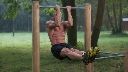 Antecedentes de la calistenia