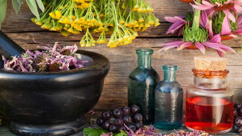 Qué es la fitoterapia 2 ¿Qué plantas te pueden ayudar para la salud?