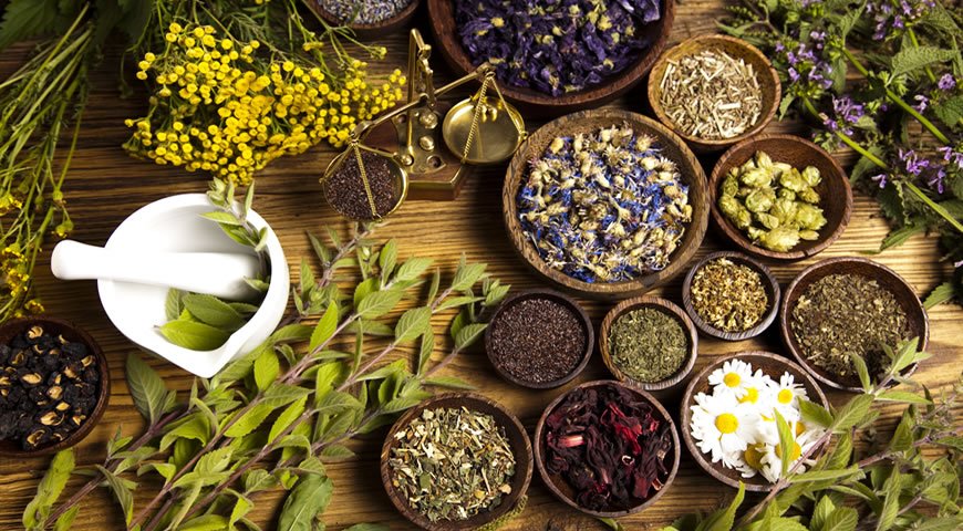 Qué es la fitoterapia 3 ¿Las plantas tienen efectos secundarios?