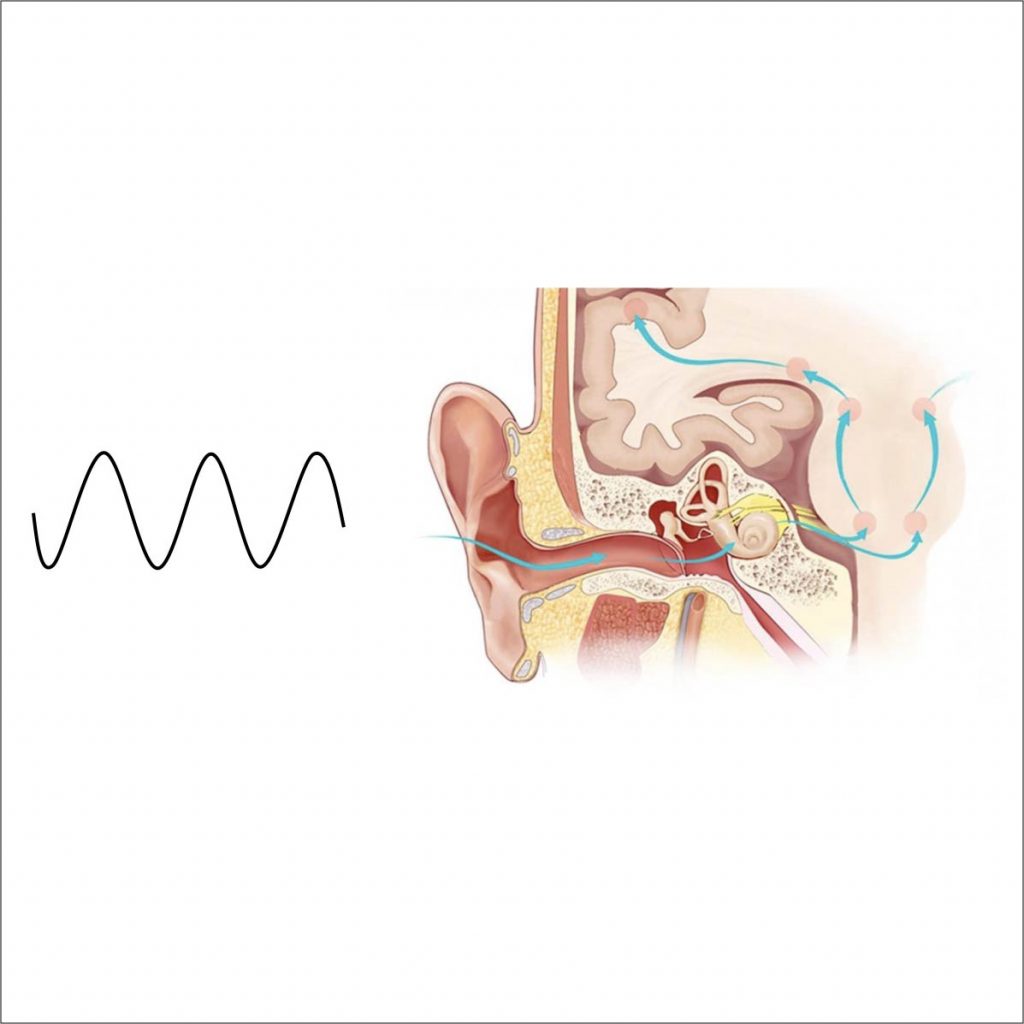 ¿Qué es la fonética?