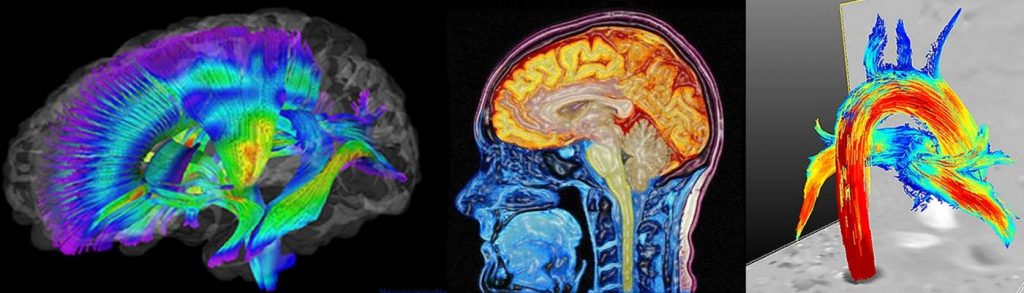 En la adultez se aplica para