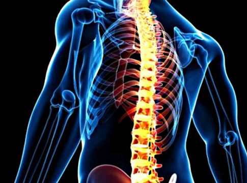 Qué es la médula espinal 1 Qué es la médula espinal