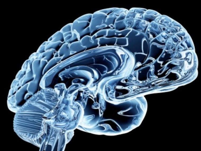 Qué es la medula espinal 5 Sustancia gris