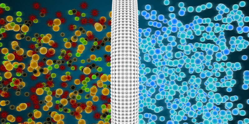 ¿Cuál es la importancia de la ósmosis?