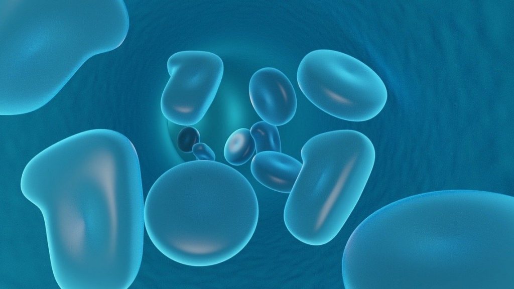 ¿Qué cumple la ósmosis en sus derivados?