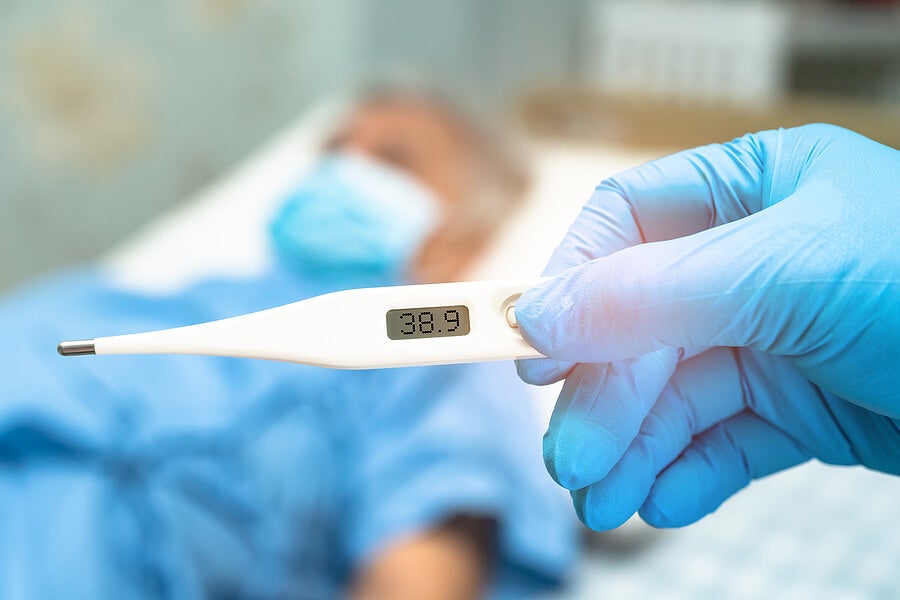 Qué es septicemia 3 Septicemia
