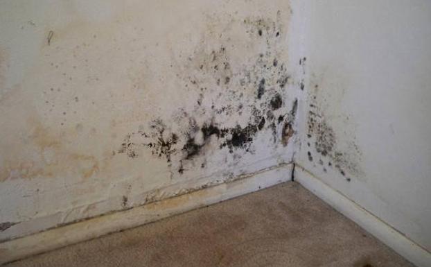 Tapar las manchas de una pared pintada