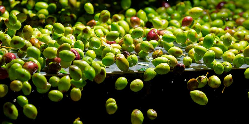 Qué es la sosa cáustica 2 Sosa cáustica y los alimentos