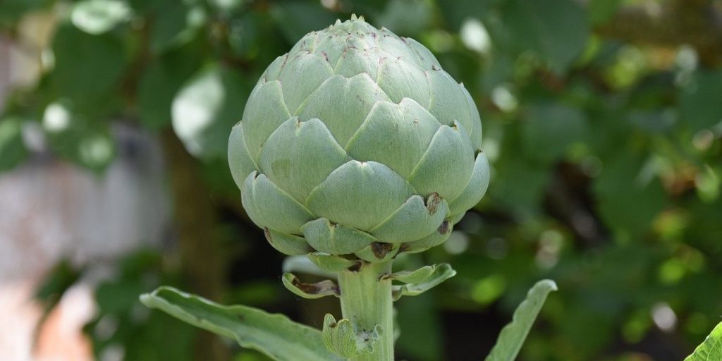 Información nutricional de la receta de alcachofas