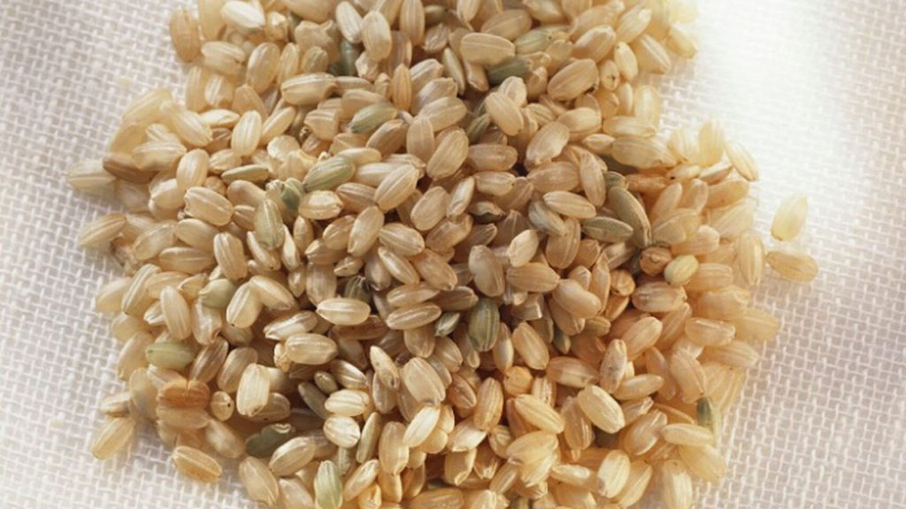 Alimentos con carbohidratos que puedes añadir a tu dieta