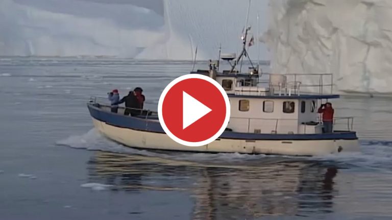 2020 empata con 2016 como año más cálido registrado en el mundo