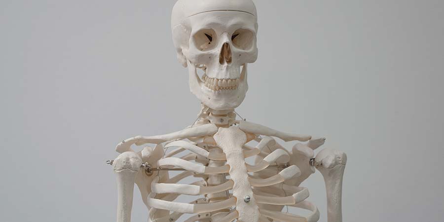 Cáncer de esqueleto