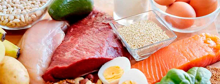 Origen de la fenilalanina