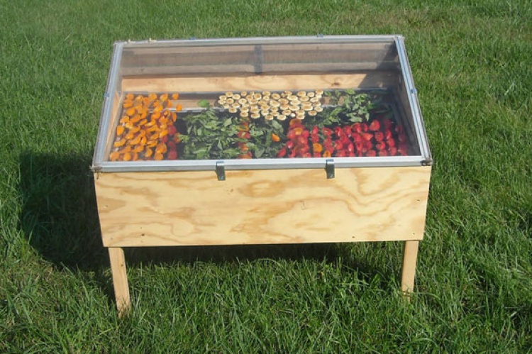 Cómo hacer frutas desecadas en casa 4 Utilizando un deshidratador o desecador