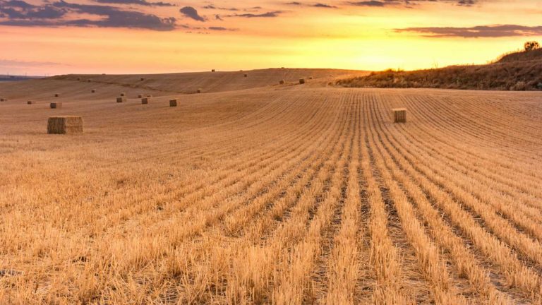 El Gobierno impulsará una PAC más igualitaria para mujeres y los jóvenes