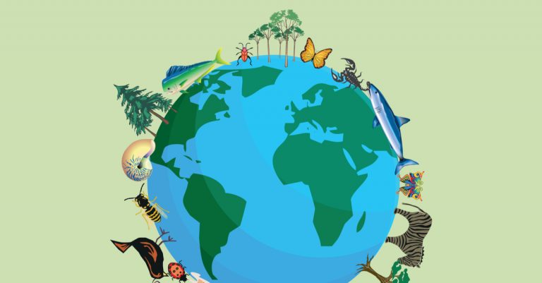 Un estudio detecta diferencias en la biodiversidad entre islas volcánicas y continentales en el Mediterráneo