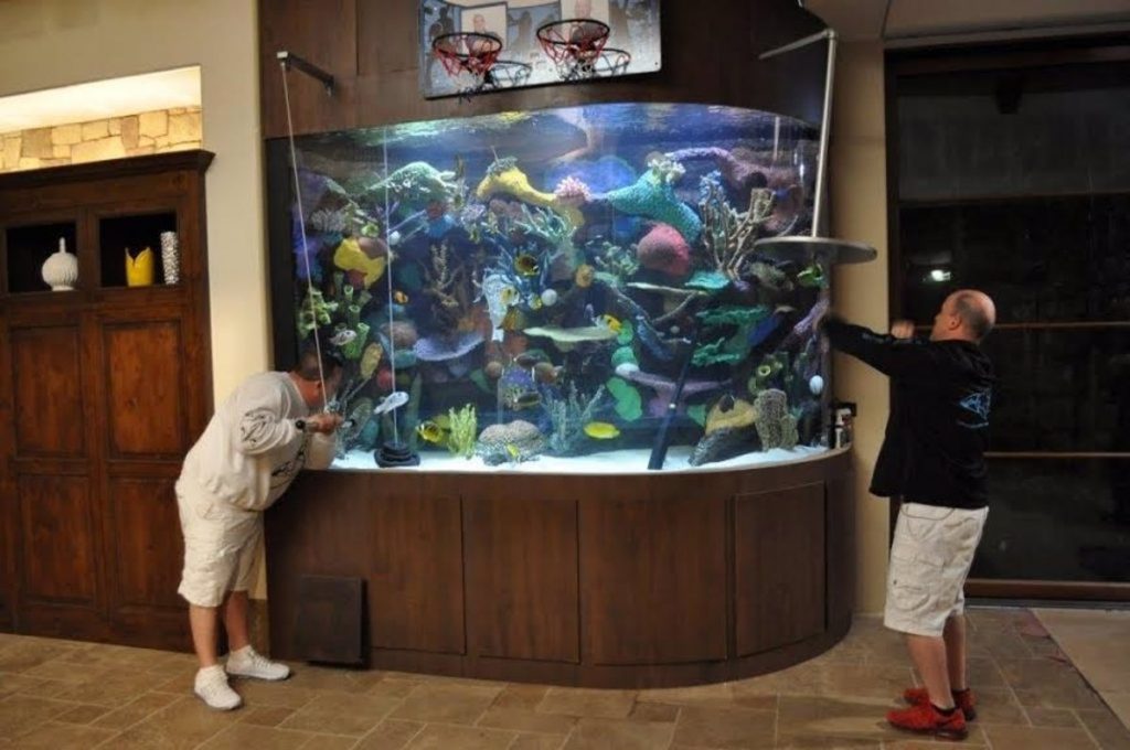 Qué hacer para que tu perro no se 'muera' de frío 6 También con las peceras has de tomar precauciones.