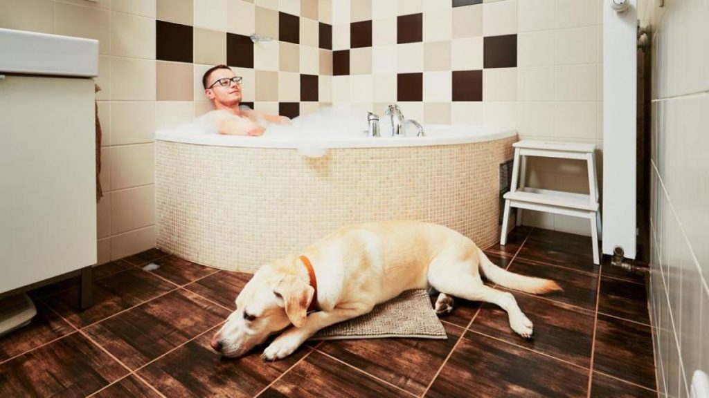 Por qué tu perro o tu gato te acompañan al baño