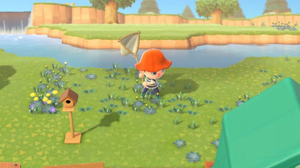 Animal Crossing: New Horizons: peces que puedes capturar en enero 2021