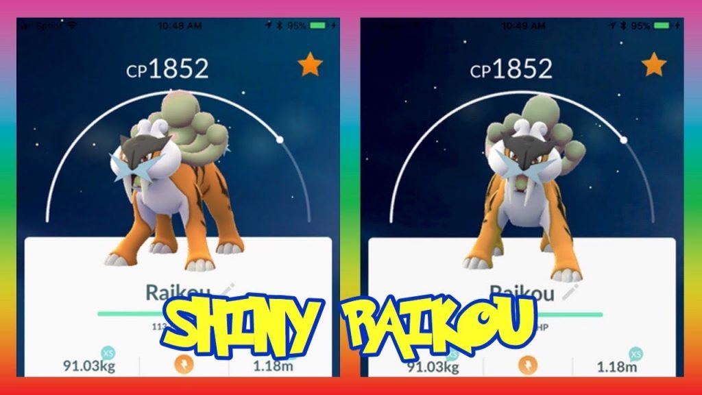 shiny raikou