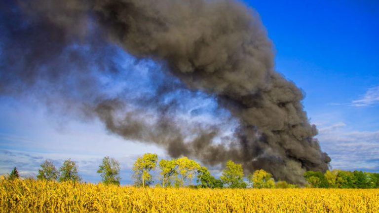 Qué es el impacto ambiental
