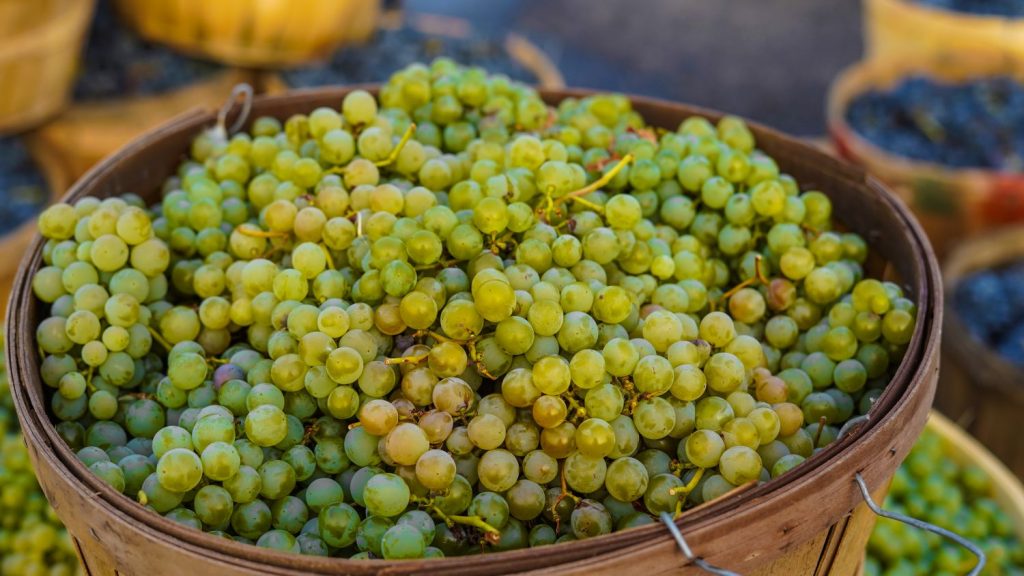 Vinos de supermercado por menos de 7 euros que no envidian a los de grandes marcas