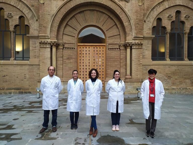 Investigadores confirman el papel clave del receptor NOR-1 en la progresión del aneurisma aórtico abdominal