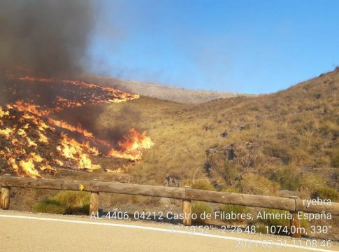 Infoca da por controlados los incendios de Almería y Murcia Infoca da por controlados los incendios de Almería y Murcia