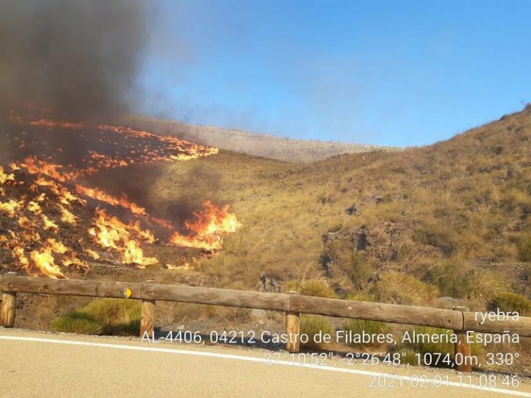 Infoca da por controlados los incendios de Almería y Murcia
